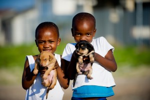 Photos from Mdzananda Animal Clinic in Cape Town, South Africa.